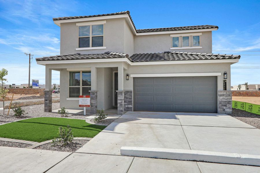 Texas Olive Transitional Texas Olive Transitional