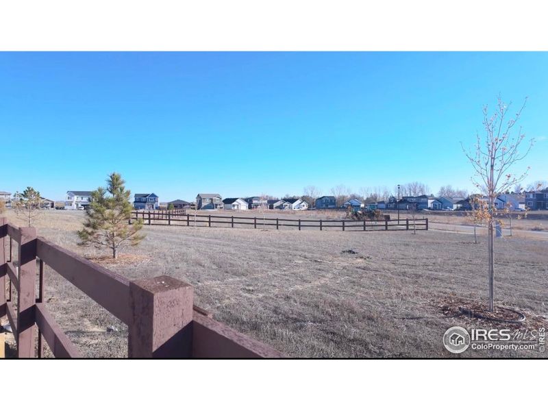 Backyard view to open space