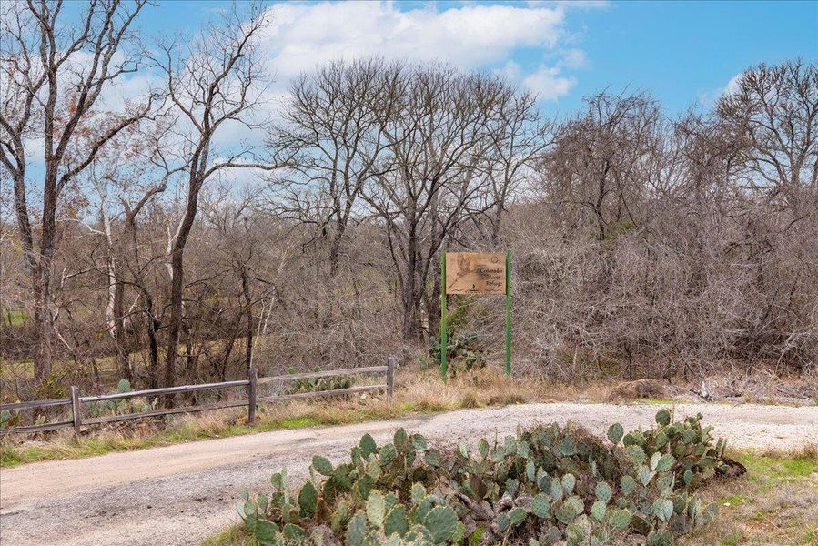 A tranquil, and serene neighborhood that is filled with mature trees and native desert plants.