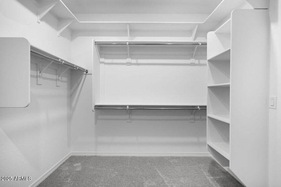 17118 W HACKAMORE Drive - Ready Now!