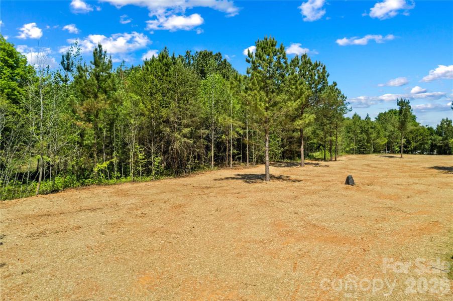 Natural landscape and outdoor views near  in Catawba (Image 43).