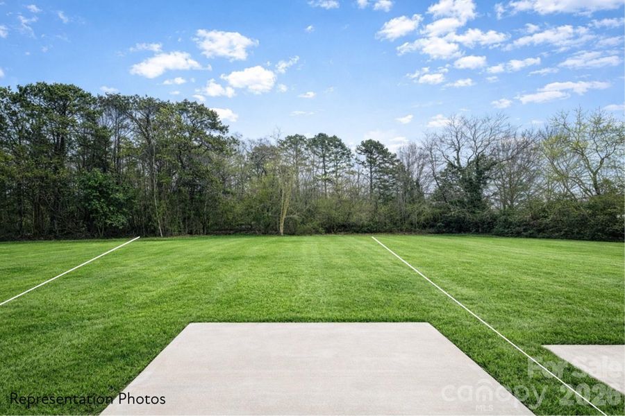 Natural landscape and outdoor views near  in Charlotte (Image 27).