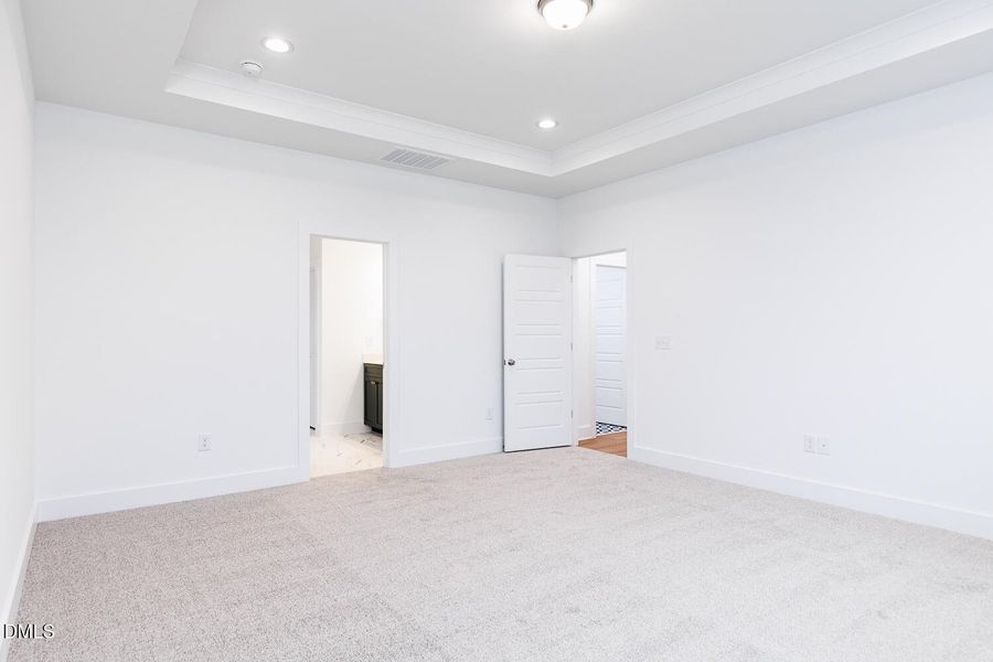 Tray Ceiling in Owner's Suite