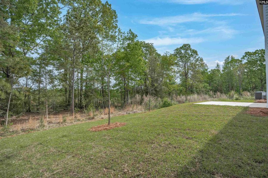 Natural landscape and outdoor views near Rolling Hills in Prosperity (Image 41). Natural landscape and outdoor views near Rolling Hills in Prosperity (Image 41).