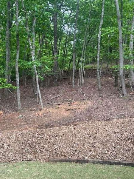 Natural landscape and outdoor views near  in Cleveland (Image 23).
