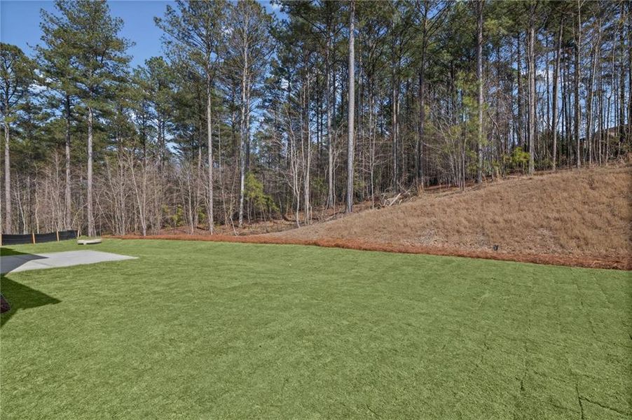 Natural landscape and outdoor views near Governor’s Preserve in Canton (Image 39).