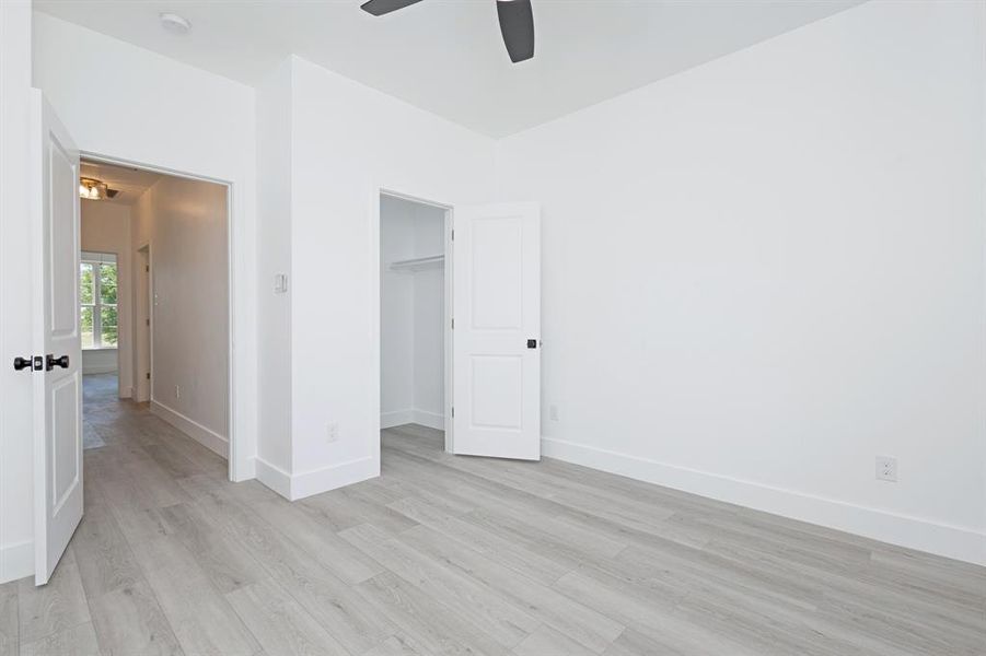 Unfurnished bedroom with light wood finished floors, ceiling fan, and a walk in closet