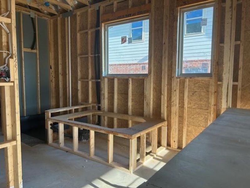 PRIMARY SHOWER AND GARDEN TUB