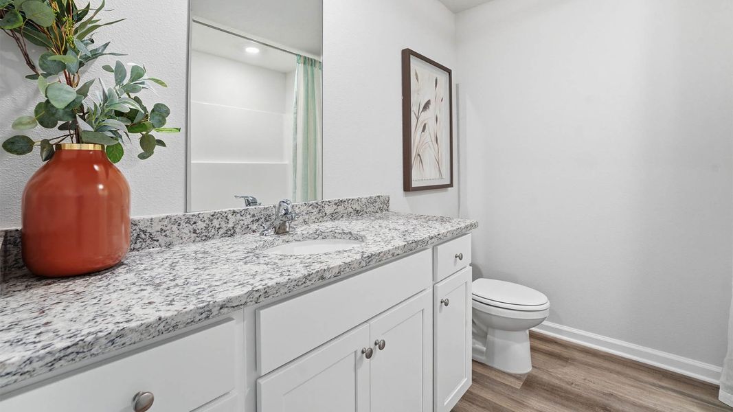 Image 38 representing the The Monroe by D.R. Horton in Chateau Nemours, Port Saint Joe, FL.