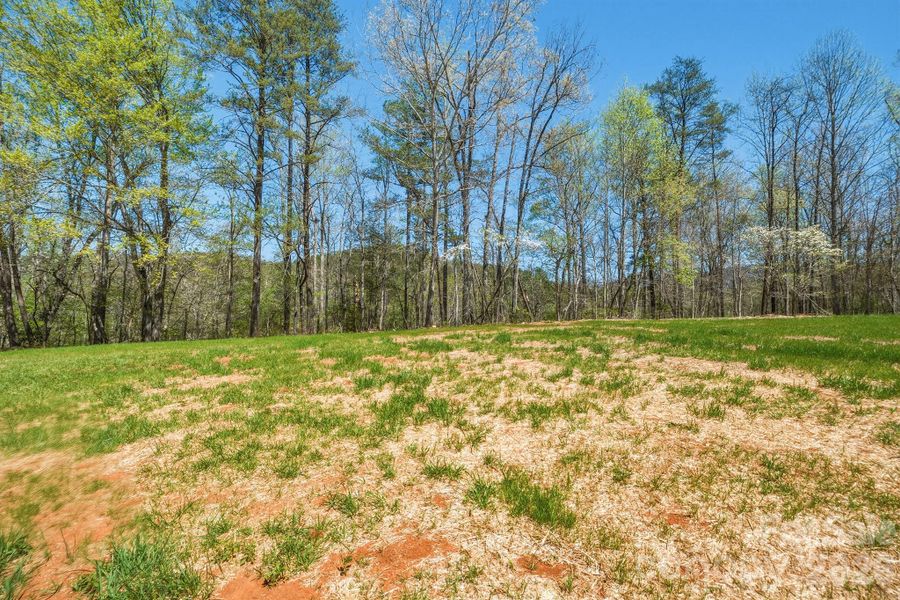 Natural landscape and outdoor views near  in Old Fort (Image 22).