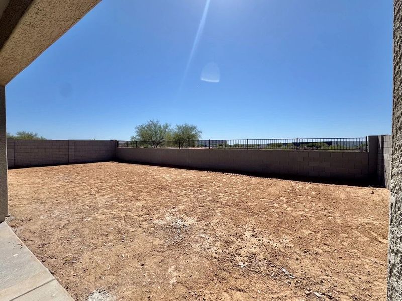 Large backyard Large backyard