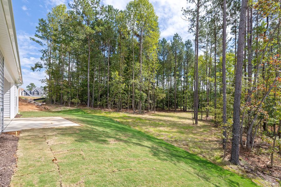 Outdoor and nature views near homes built from the The Bradley by RobuckHomes in Baylee Ridge, Selma (Image 202). Outdoor and nature views near homes built from the The Bradley by RobuckHomes in Baylee Ridge, Selma (Image 202).