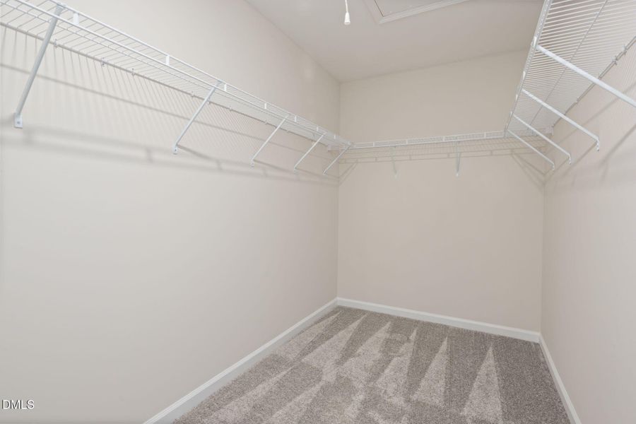 Everton Cooper (21) Everton Cooper (21)