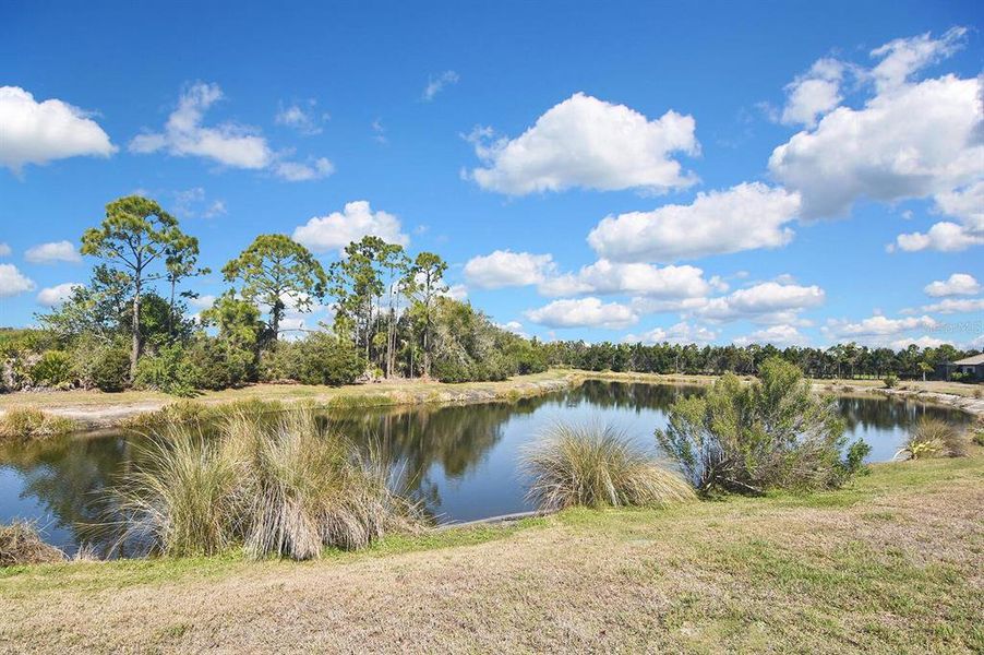 Natural landscape and outdoor views near  in Englewood (Image 60).