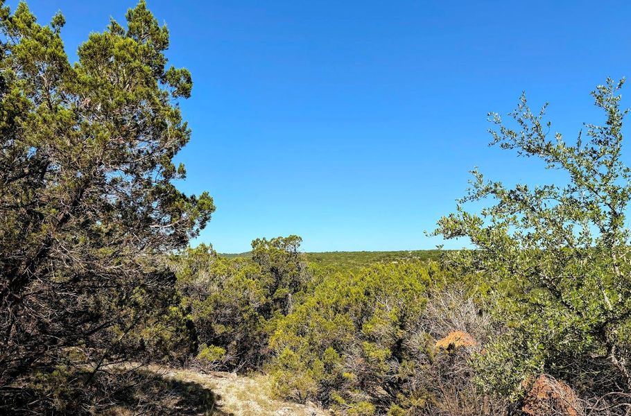 Natural landscape and outdoor views near  in Wimberley (Image 21).