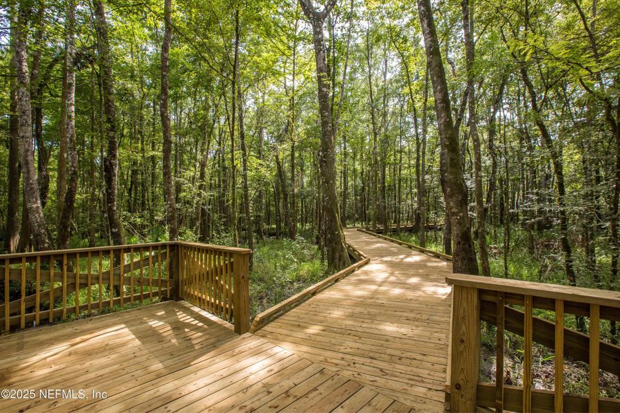 Natural landscape and outdoor views near  in St. Augustine (Image 64).