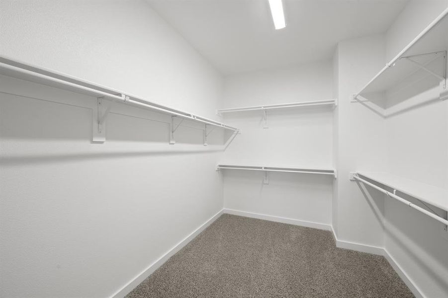 4619 Haws Trail_ 2572_Onyx- Primary Suite]-6