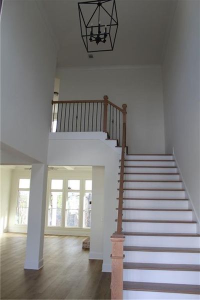 Spacious, unfurnished interior of a new home in , Milton (Image 25).