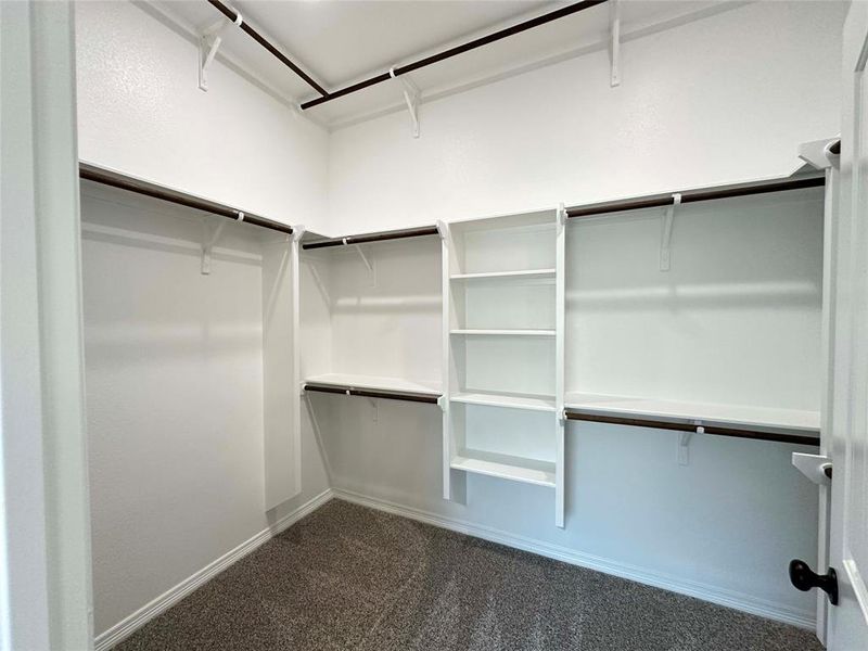 Spacious closet featuring dark colored carpet Spacious closet featuring dark colored carpet