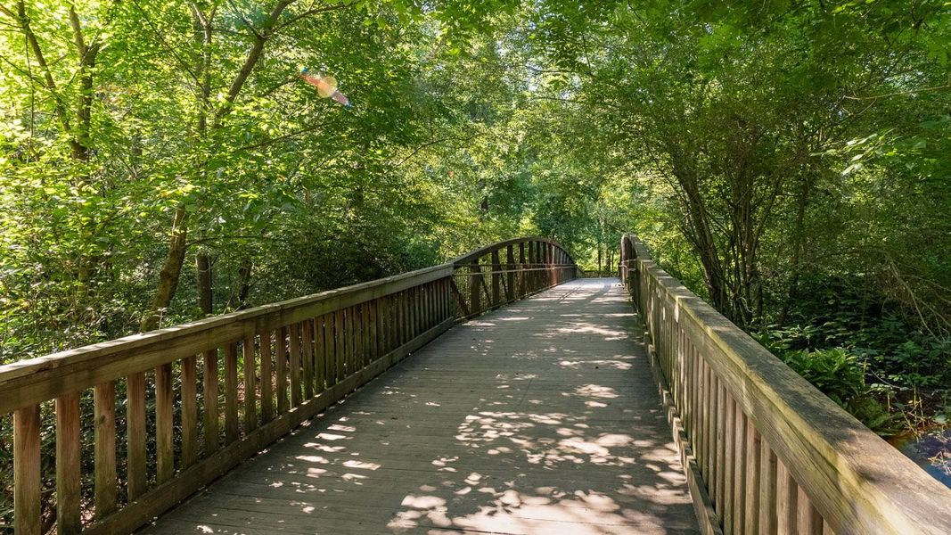 Image 27 representing the Robie by D.R. Horton in The Village at Sandy Plains, Marietta, GA.