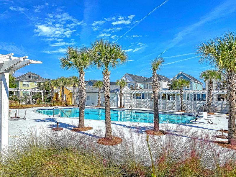 Community amenities in Heron's Walk at Summers Corner, Summerville (Image 45).