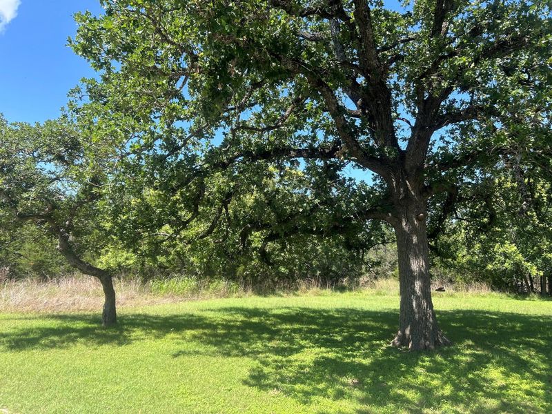Natural landscape and outdoor views near in Georgetown (Image 10). Natural landscape and outdoor views near in Georgetown (Image 10).