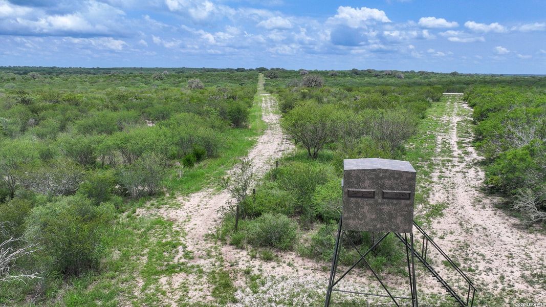 Natural landscape and outdoor views near in Kenedy (Image 13). Natural landscape and outdoor views near in Kenedy (Image 13).