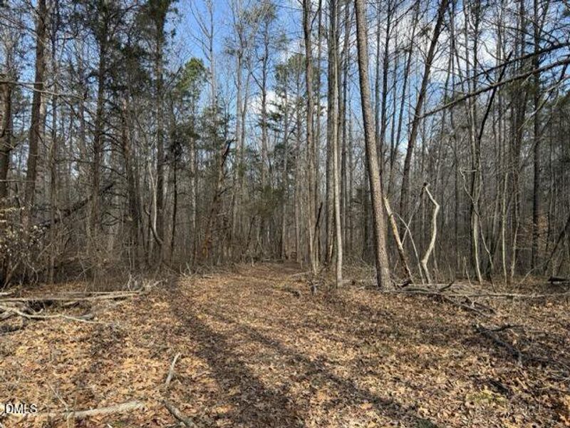 IMG_3225 Medium IMG_3225 Medium