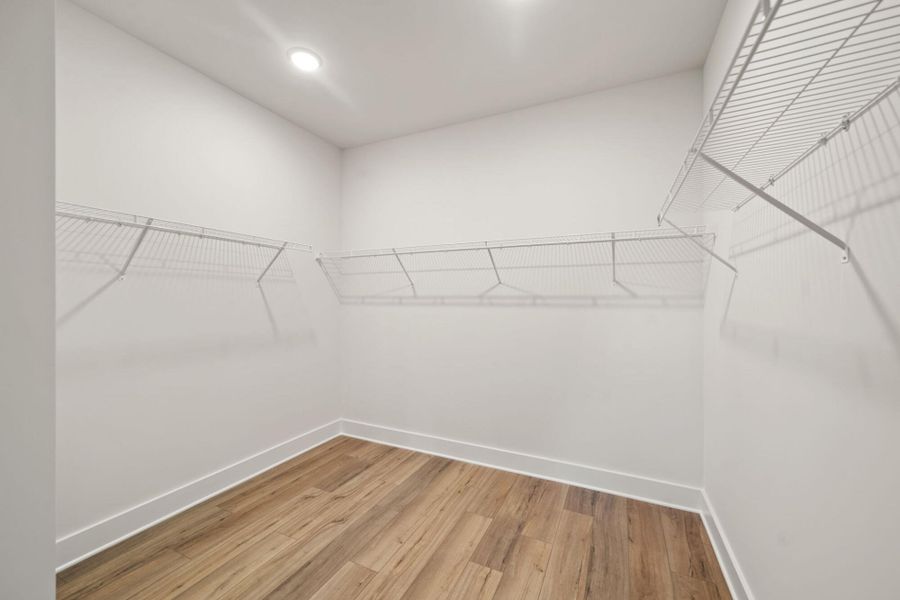 Spacious, unfurnished interior of a new home in Wexford, Elon (Image 39).