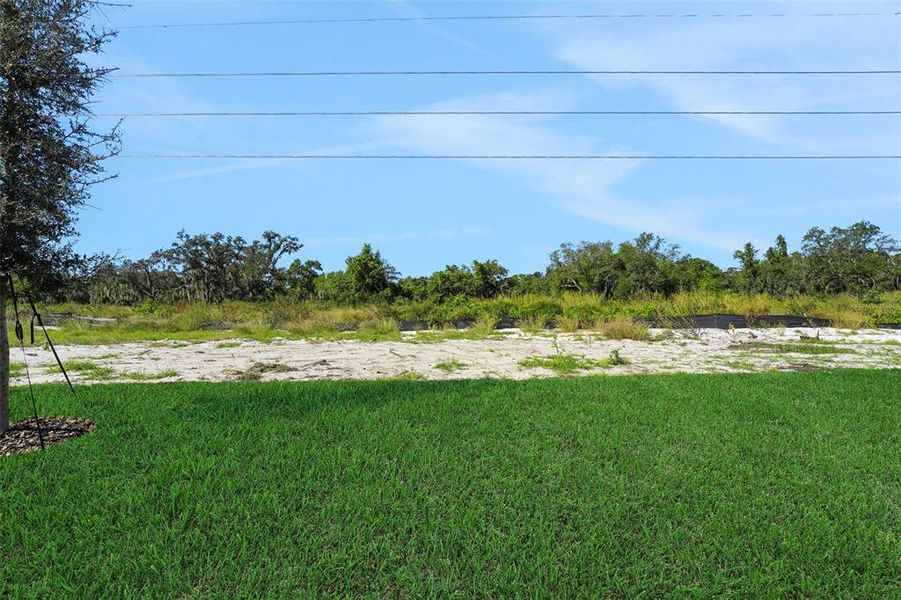 Natural landscape and outdoor views near Willowbrook North in Winter Haven (Image 35). Natural landscape and outdoor views near Willowbrook North in Winter Haven (Image 35).