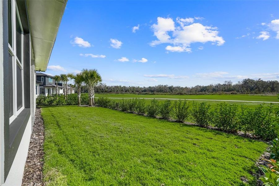 Exterior details and patio area of a home in Hampton Green at Providence, Davenport (Image 23).