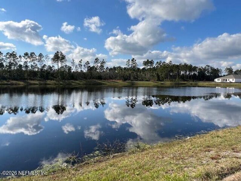 Natural landscape and outdoor views near Sawmill Branch in Palm Coast (Image 38).