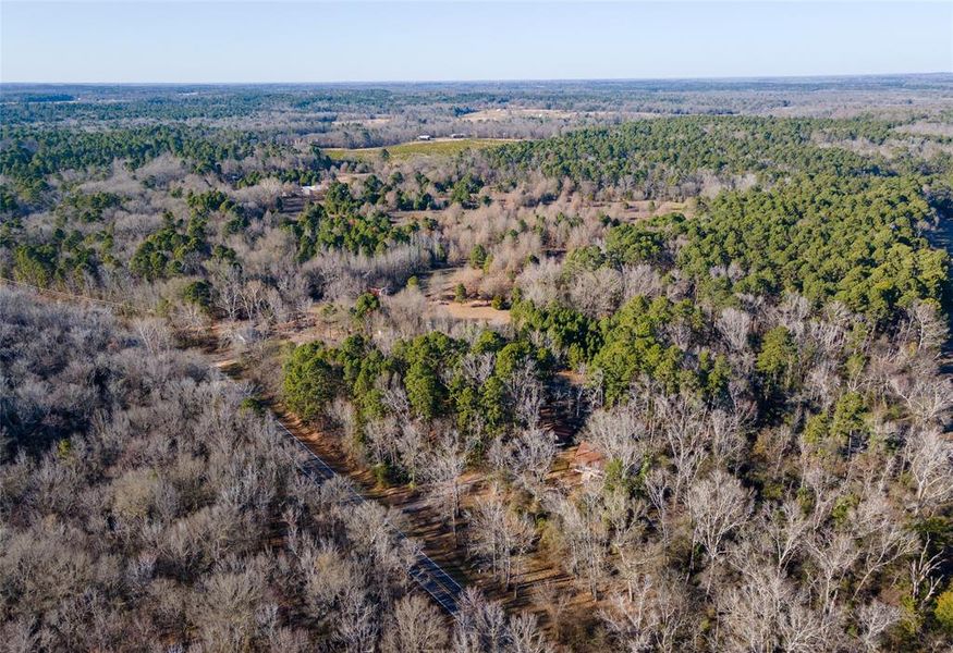 FM 49 Privacy in Pines FM 49 before Hwy 14