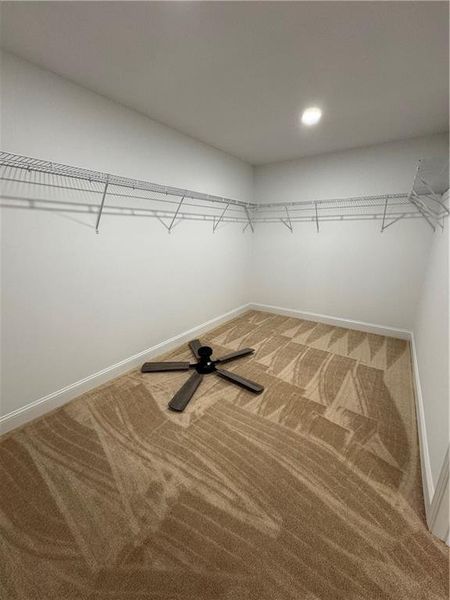 Spacious, unfurnished interior of a new home in , Gainesville (Image 10). Spacious, unfurnished interior of a new home in , Gainesville (Image 10).