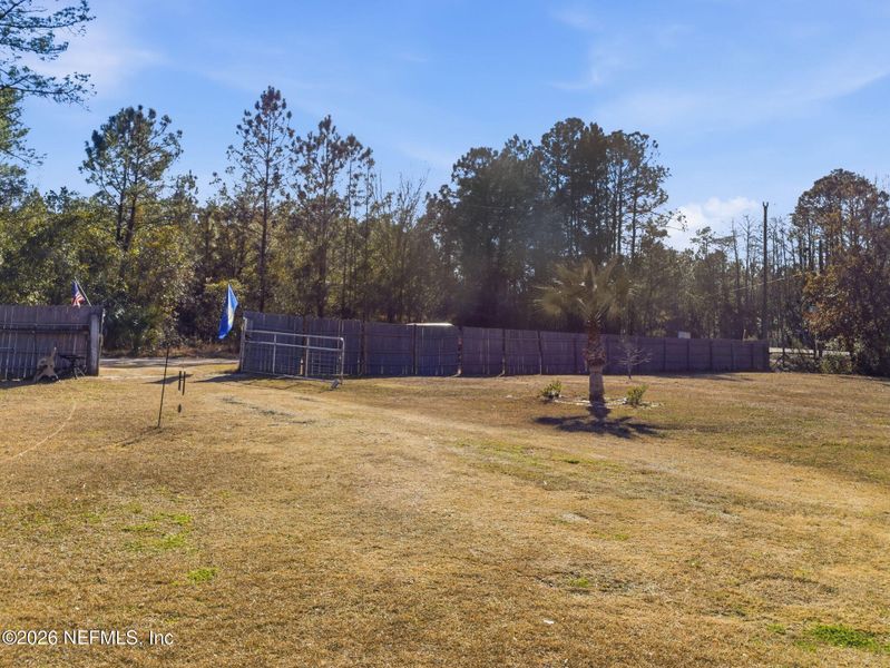 Natural landscape and outdoor views near  in Palatka (Image 30).