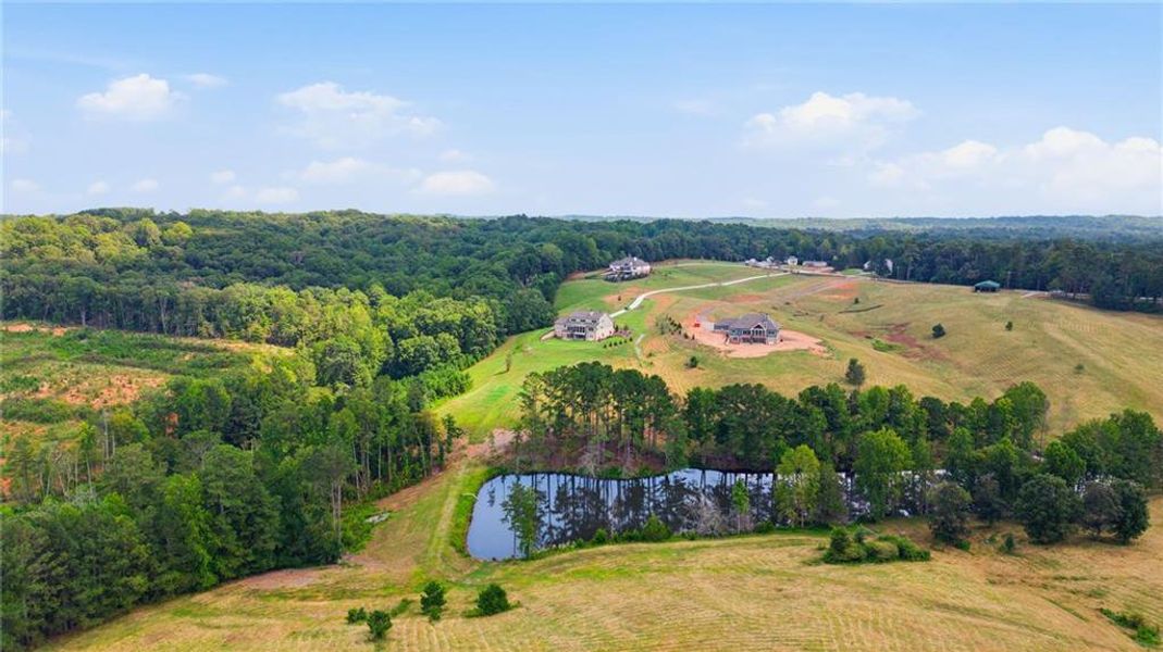 Natural landscape and outdoor views near  in Gainesville (Image 65).