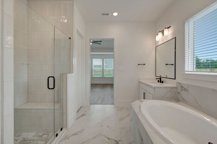 Owner's Bathroom
