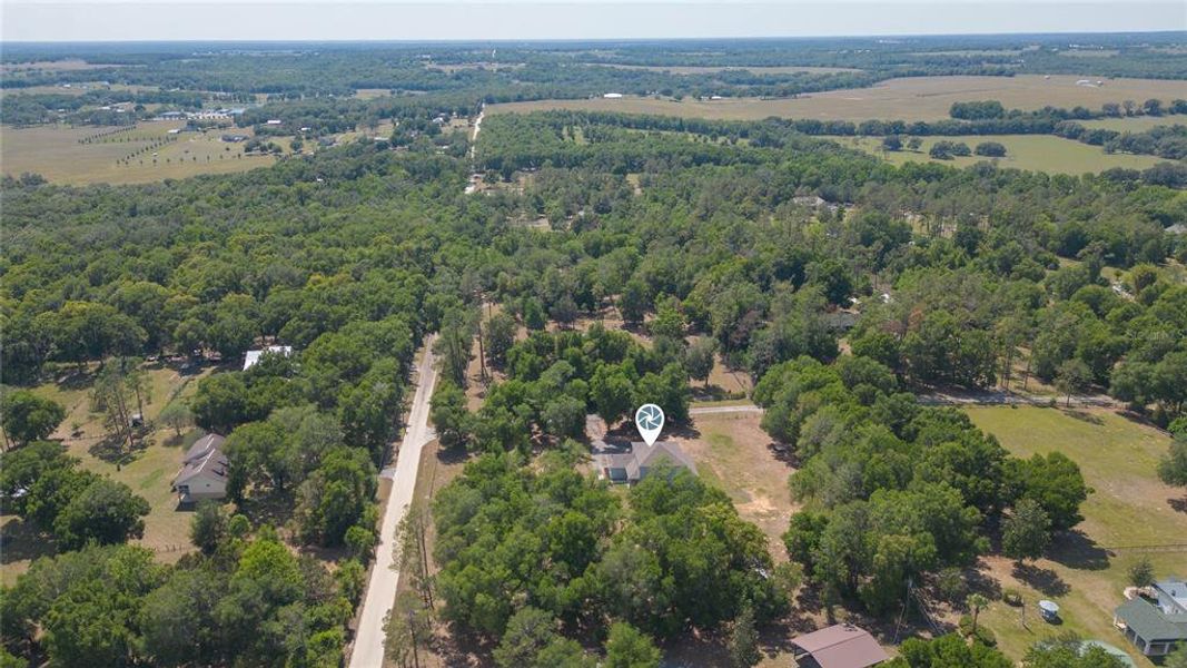 Natural landscape and outdoor views near  in Dade City (Image 49).