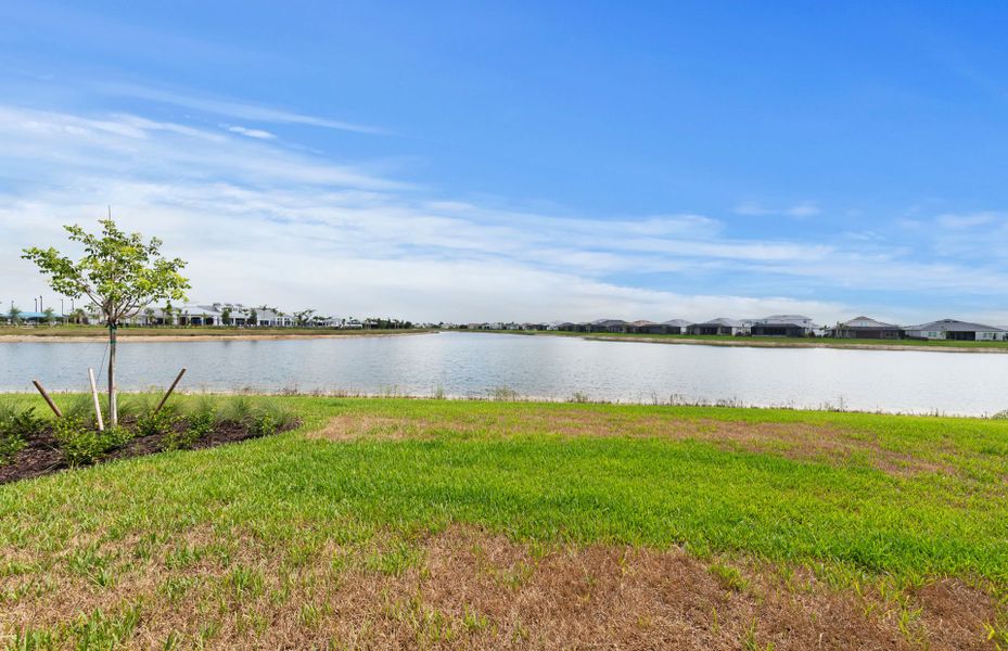 Natural landscape and outdoor views near TerraWalk at Babcock Ranch in Alva (Image 22). Natural landscape and outdoor views near TerraWalk at Babcock Ranch in Alva (Image 22).