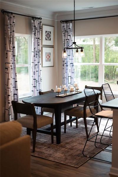 Furnished interior view inside a new home in Varnell Preserve, Dalton (Image 37). Furnished interior view inside a new home in Varnell Preserve, Dalton (Image 37).