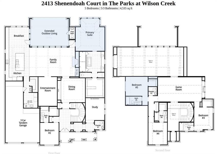 2D floor plan layout of this home in The Parks at Wilson Creek, Celina, TX (Image 3).
