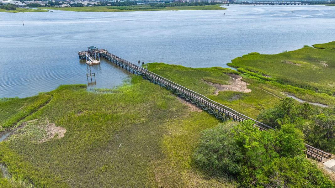 Natural landscape and outdoor views near  in Charleston (Image 44).