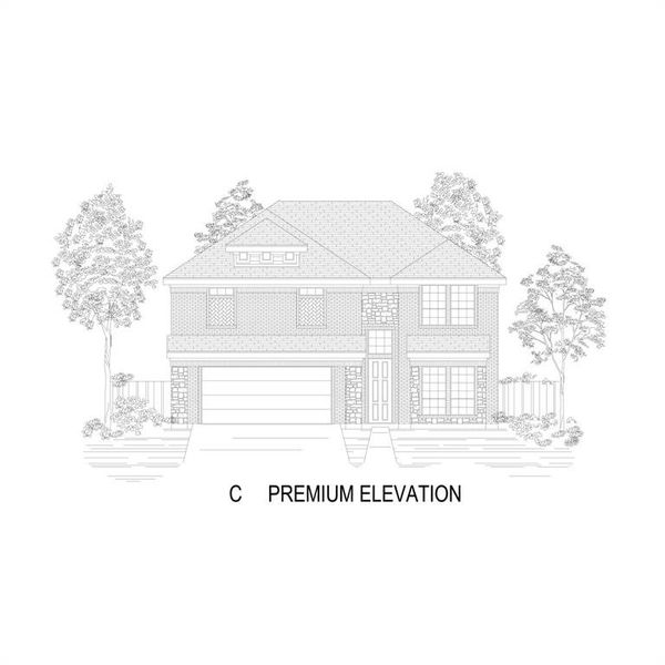 C Elevation