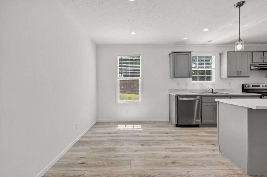 Spacious, unfurnished interior of a new home in , Cross (Image 29).