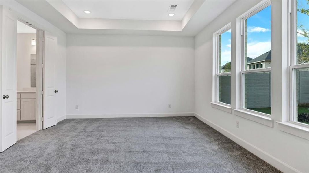 Carpeted spare room with plenty of natural light and a tray ceiling