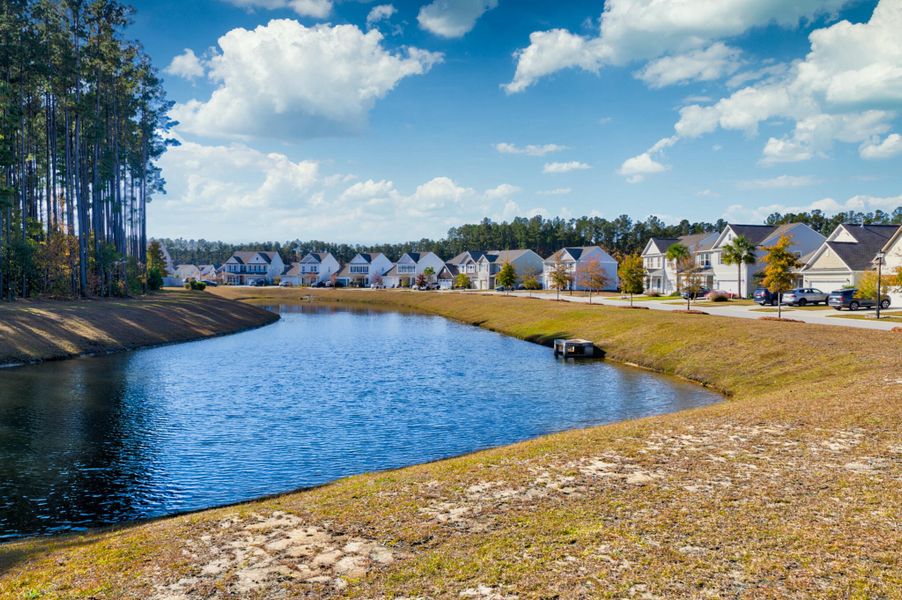 Natural landscape and outdoor views near  in Summerville (Image 51).