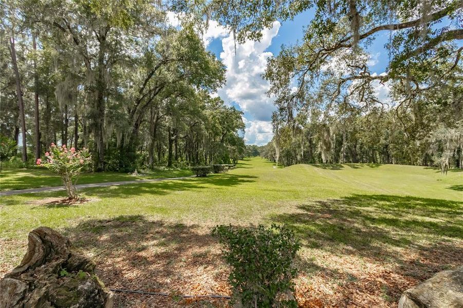 Natural landscape and outdoor views near  in Dunnellon (Image 43).