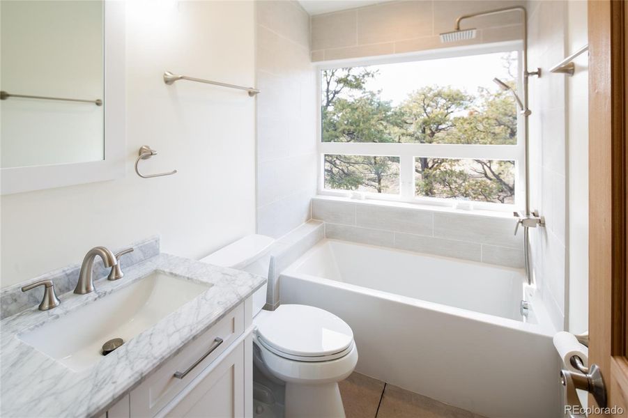 Full bath with Jet tub