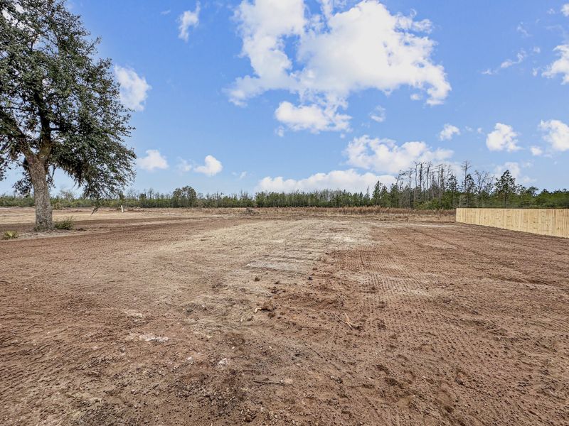 Site preparation for new homesites in Tibet Road at Sassafras, Allenhurst (Image 18).