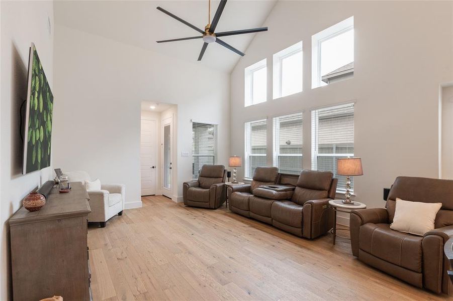 Plenty of Natural Lighting